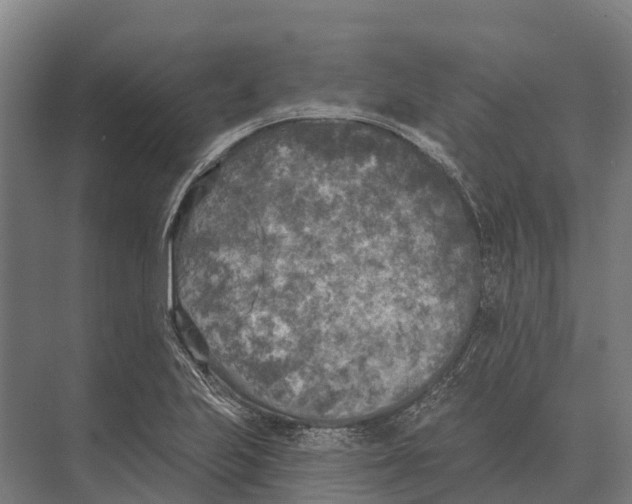 X0000071961223200608041610