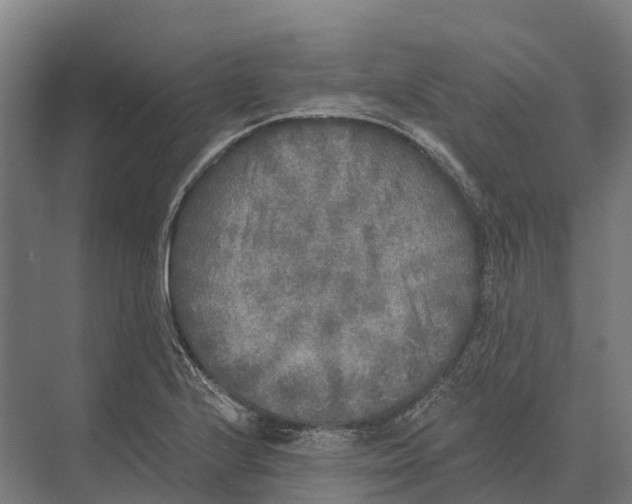 X0000071961224200608041610