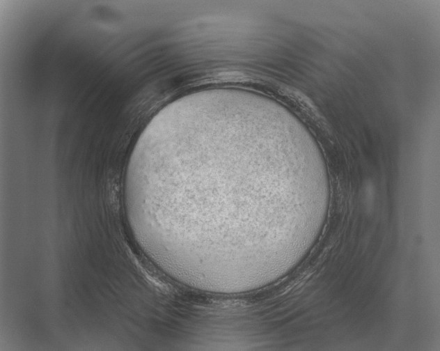 X0000071961225200608041610