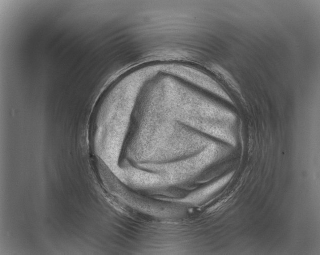 X0000071961226200608041610