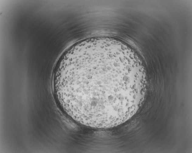 X0000071961227200608041610