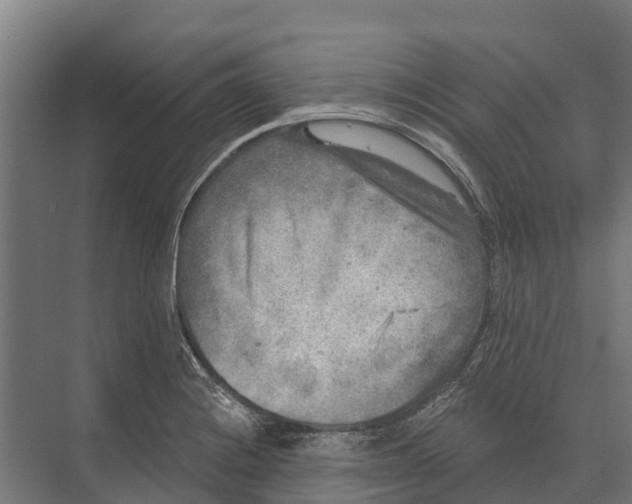 X0000071961228200608041611