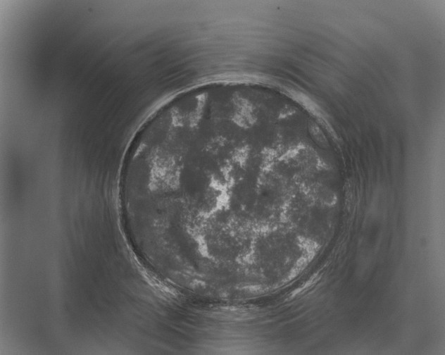 X0000071961229200608041611