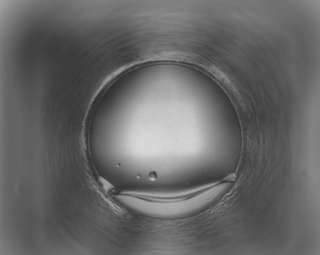 X0000071961230200608041611