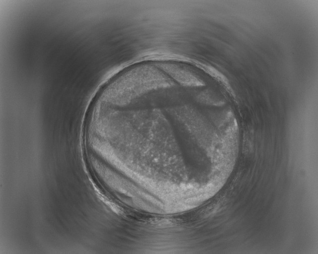 X0000071961231200608041611