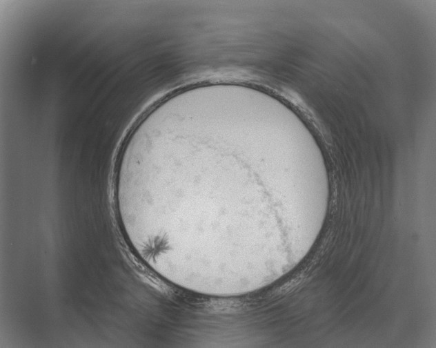 X0000071961232200608041611