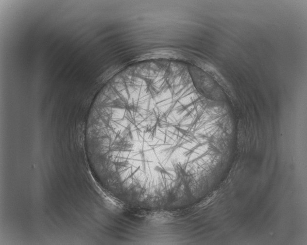 X0000071961233200608041611