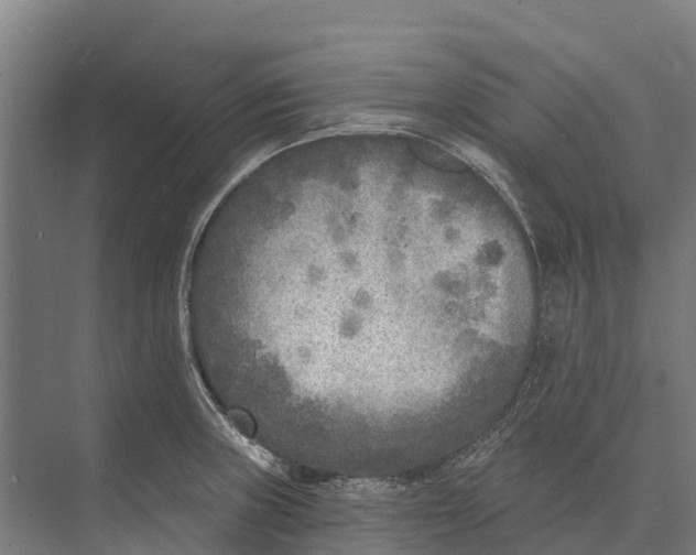 X0000071961235200608041611