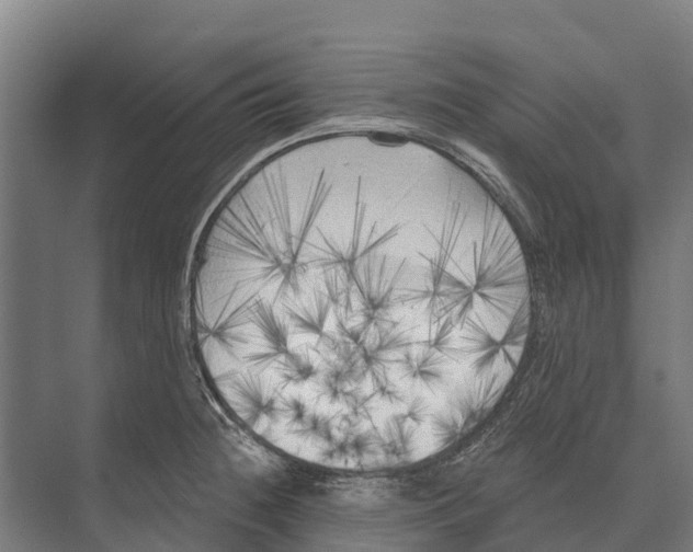 X0000071961236200608041611