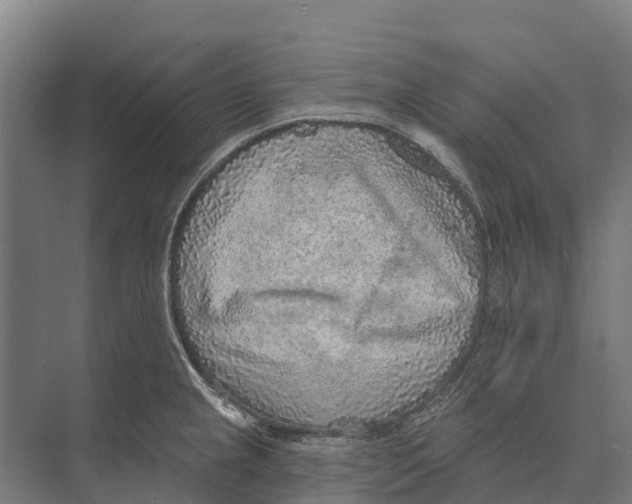 X0000071961237200608041611