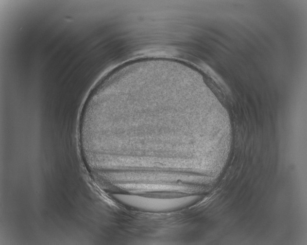 X0000071961240200608041611