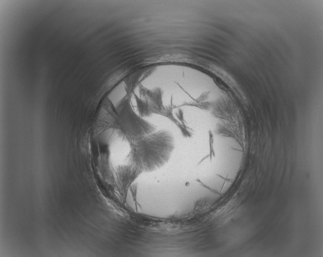 X0000071961241200608041611