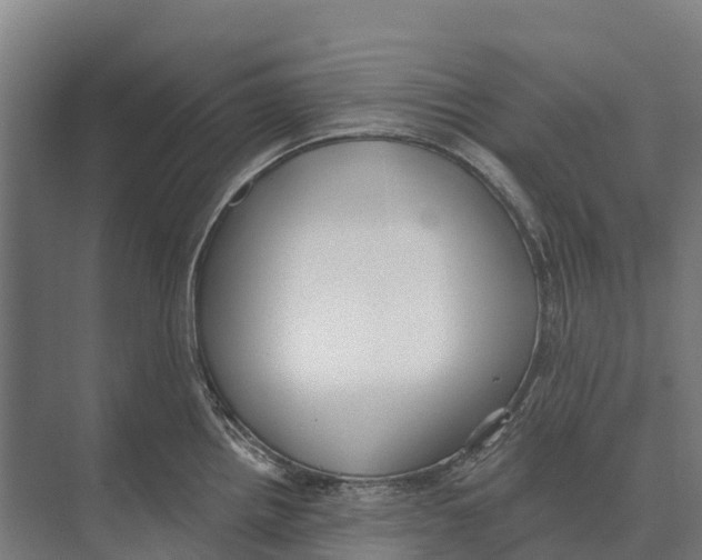 X0000071961242200608041611