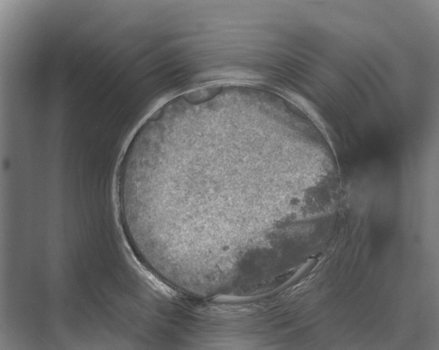 X0000071961243200608041611