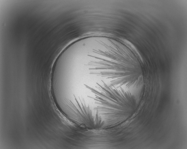 X0000071961244200608041611