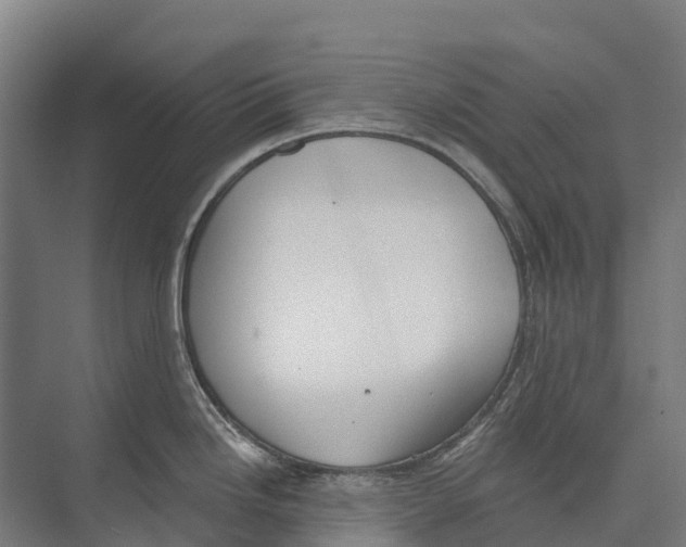 X0000071961246200608041611