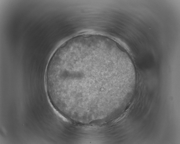 X0000071961247200608041611