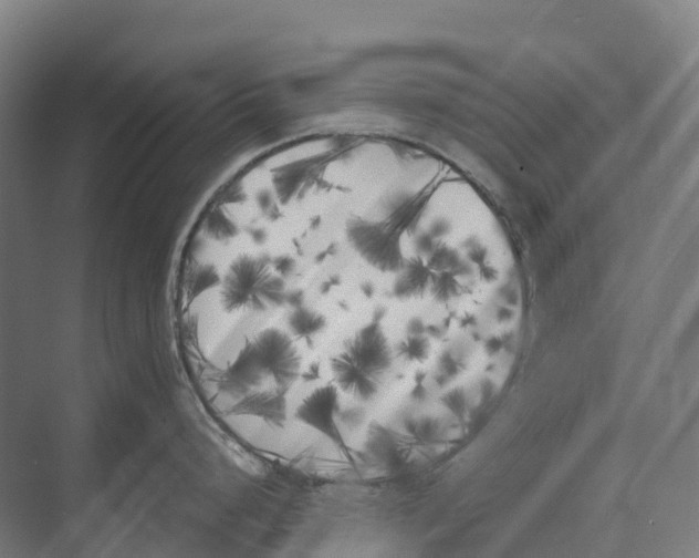 X0000071961248200608041611