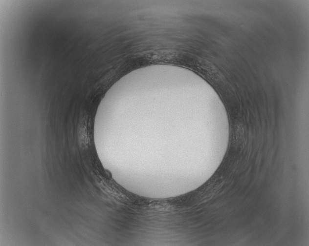 X0000071961250200608041610