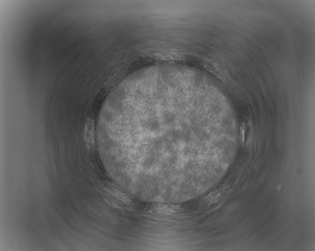 X0000071961251200608041610