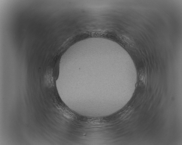 X0000071961252200608041610