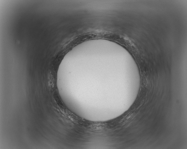 X0000071961253200608041610