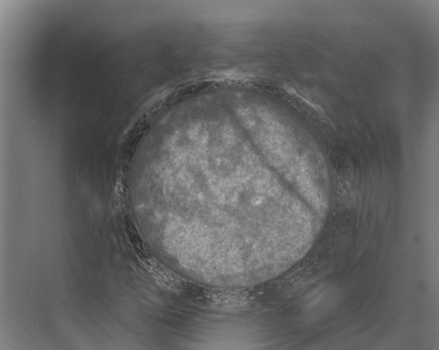 X0000071961254200608041610