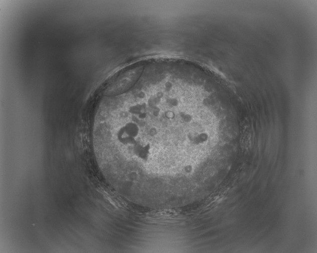 X0000071961255200608041610