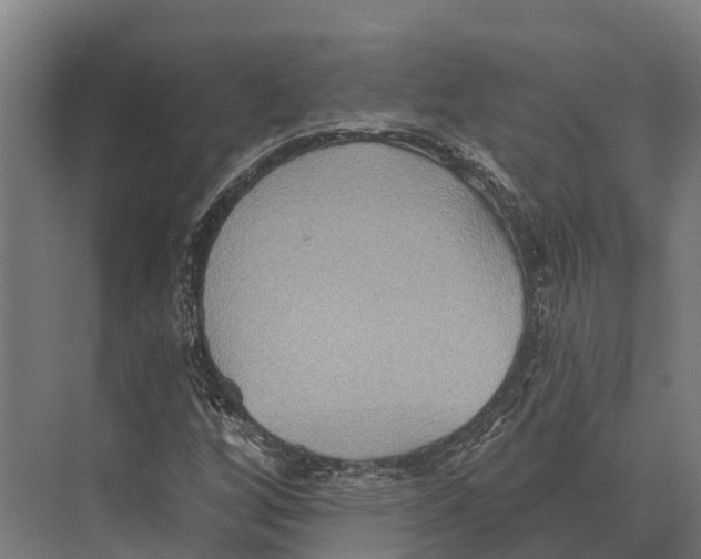 X0000071961256200608041610