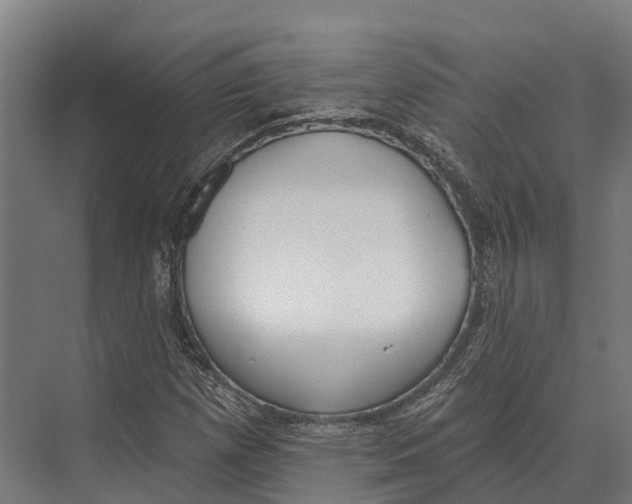 X0000071961257200608041610