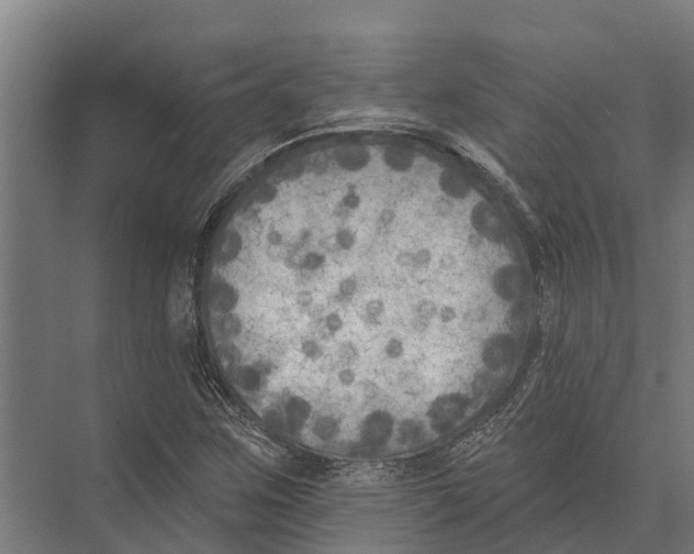 X0000071961259200608041610