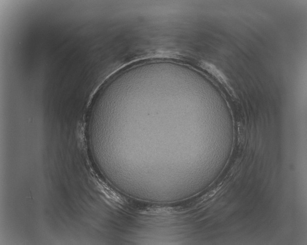 X0000071961260200608041610