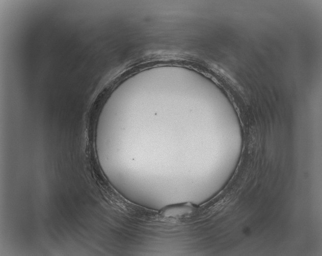 X0000071961261200608041610