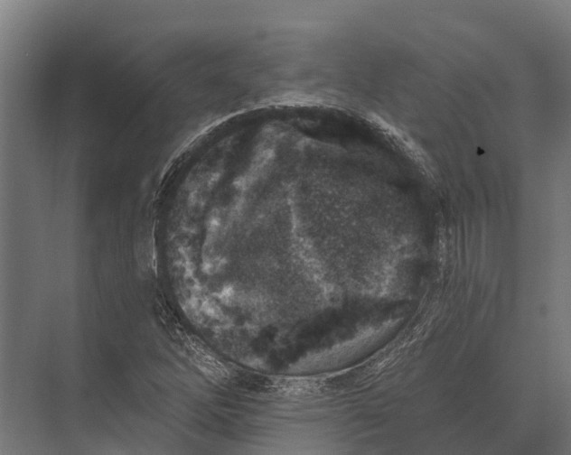 X0000071961262200608041610