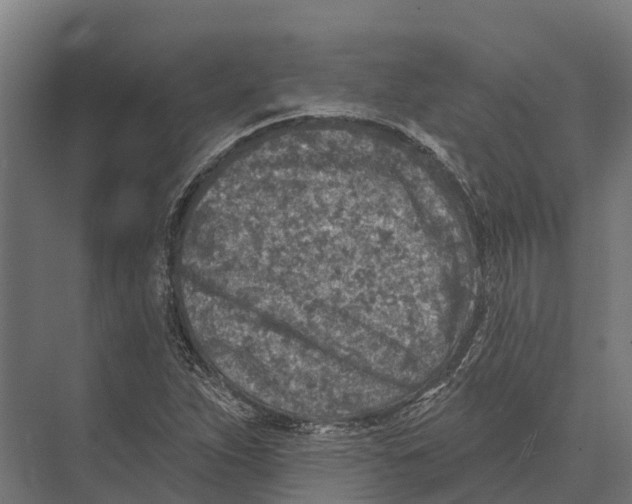 X0000071961263200608041610