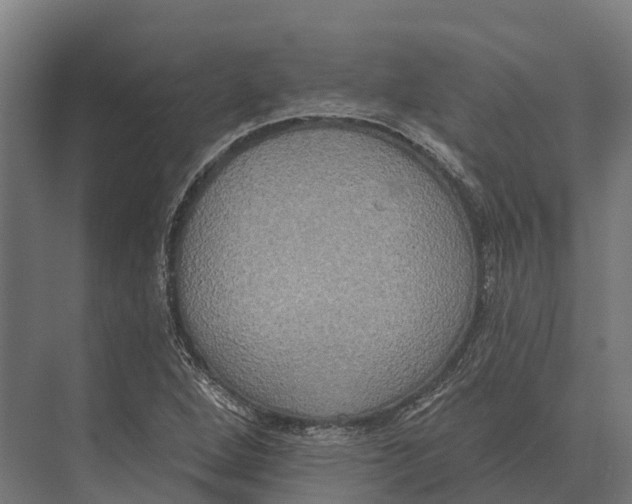 X0000071961264200608041610