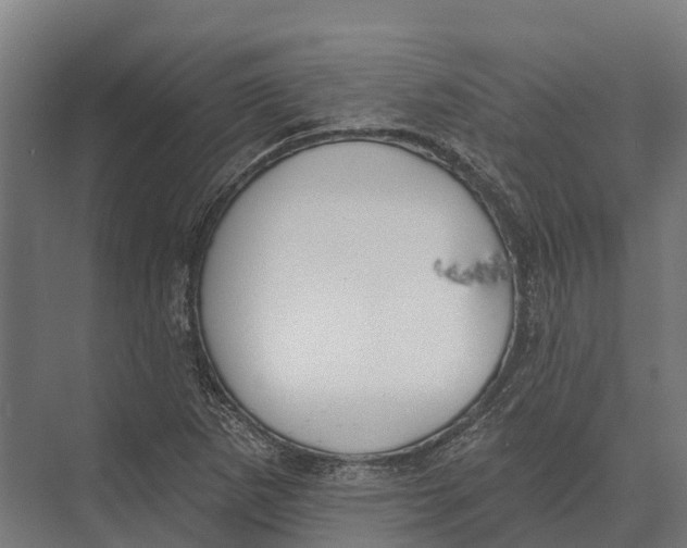 X0000071961265200608041610