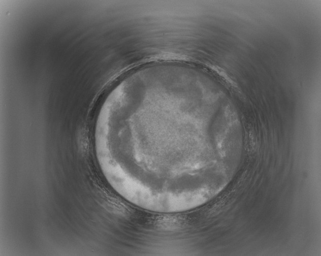 X0000071961266200608041610