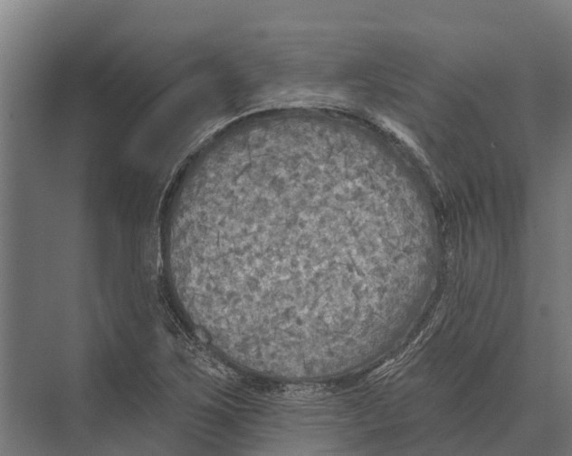 X0000071961267200608041610