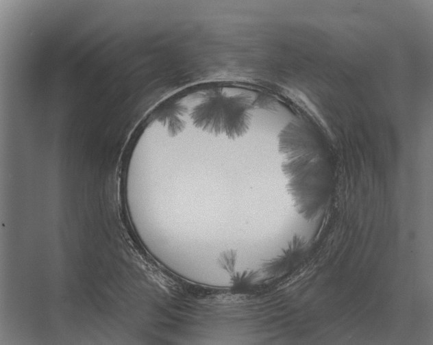 X0000071961268200608041610