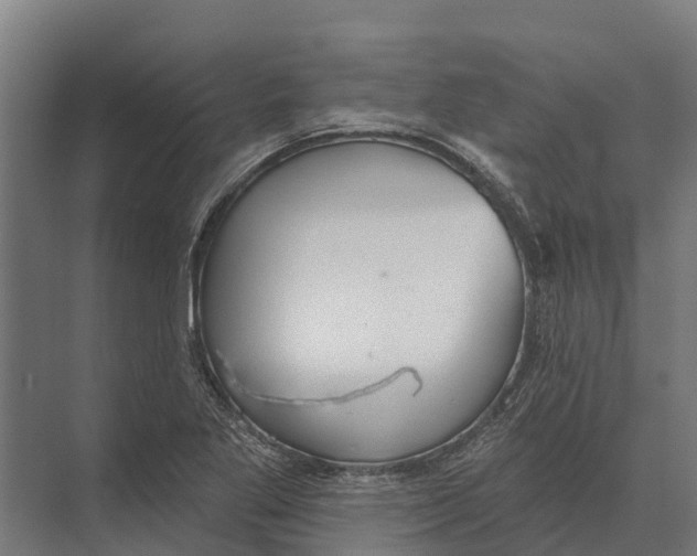 X0000071961269200608041610