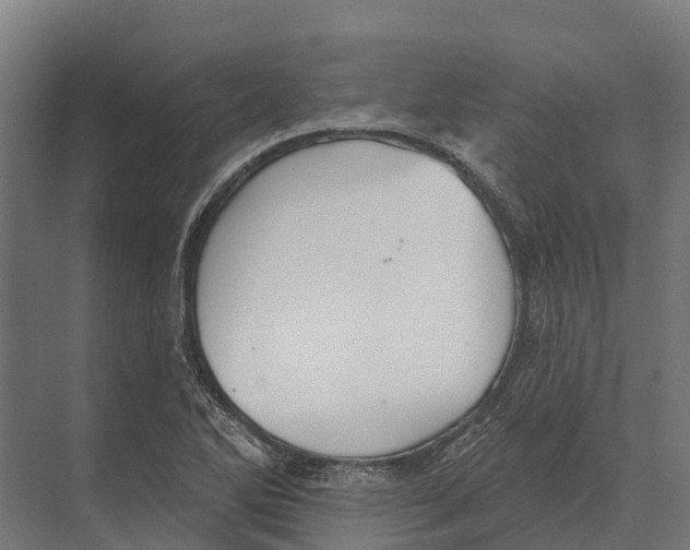 X0000071961270200608041610