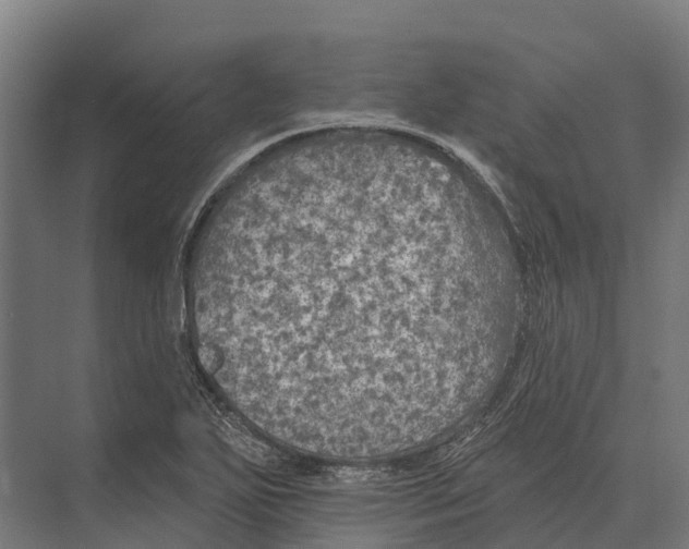 X0000071961271200608041610