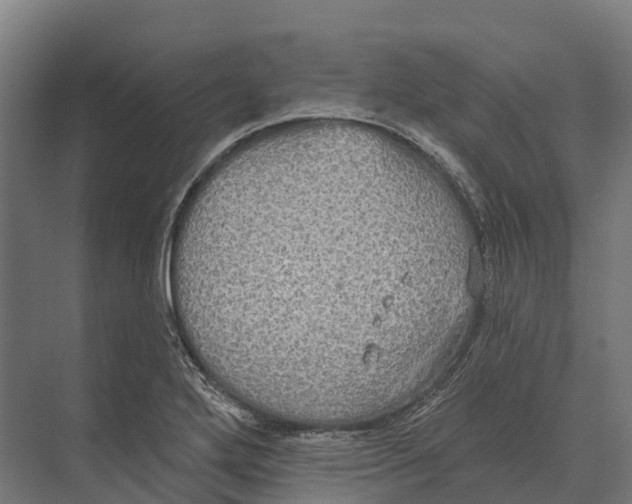 X0000071961272200608041610