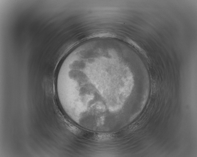 X0000071961274200608041610