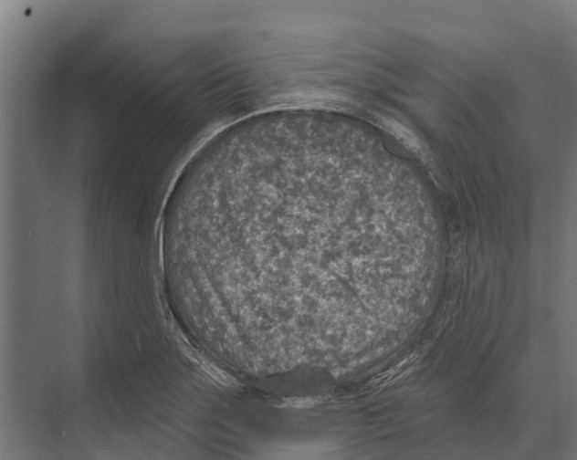 X0000071961275200608041610