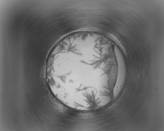 X0000071961276200608041610