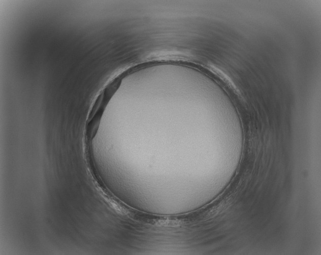 X0000071961277200608041610