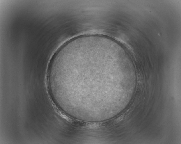 X0000071961278200608041610