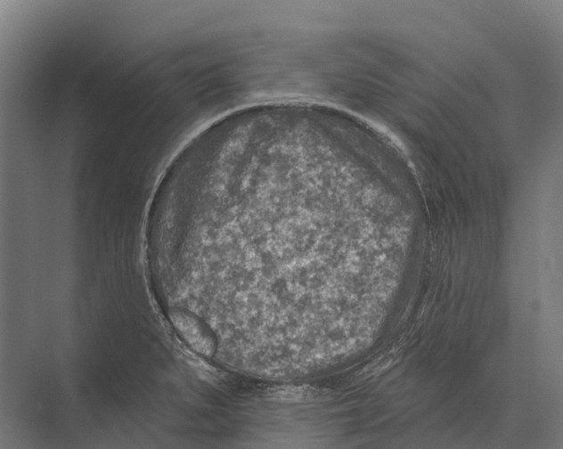 X0000071961279200608041610